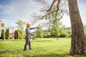 Reliable Peachtree Corners, GA  Tree Services Solutions